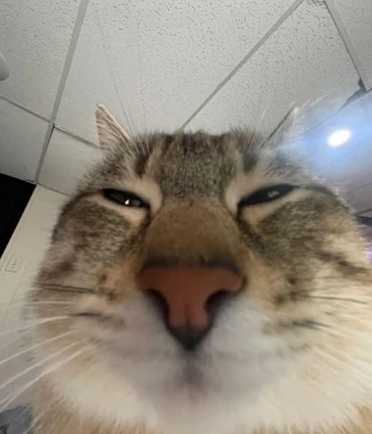 리뷰 사진 1