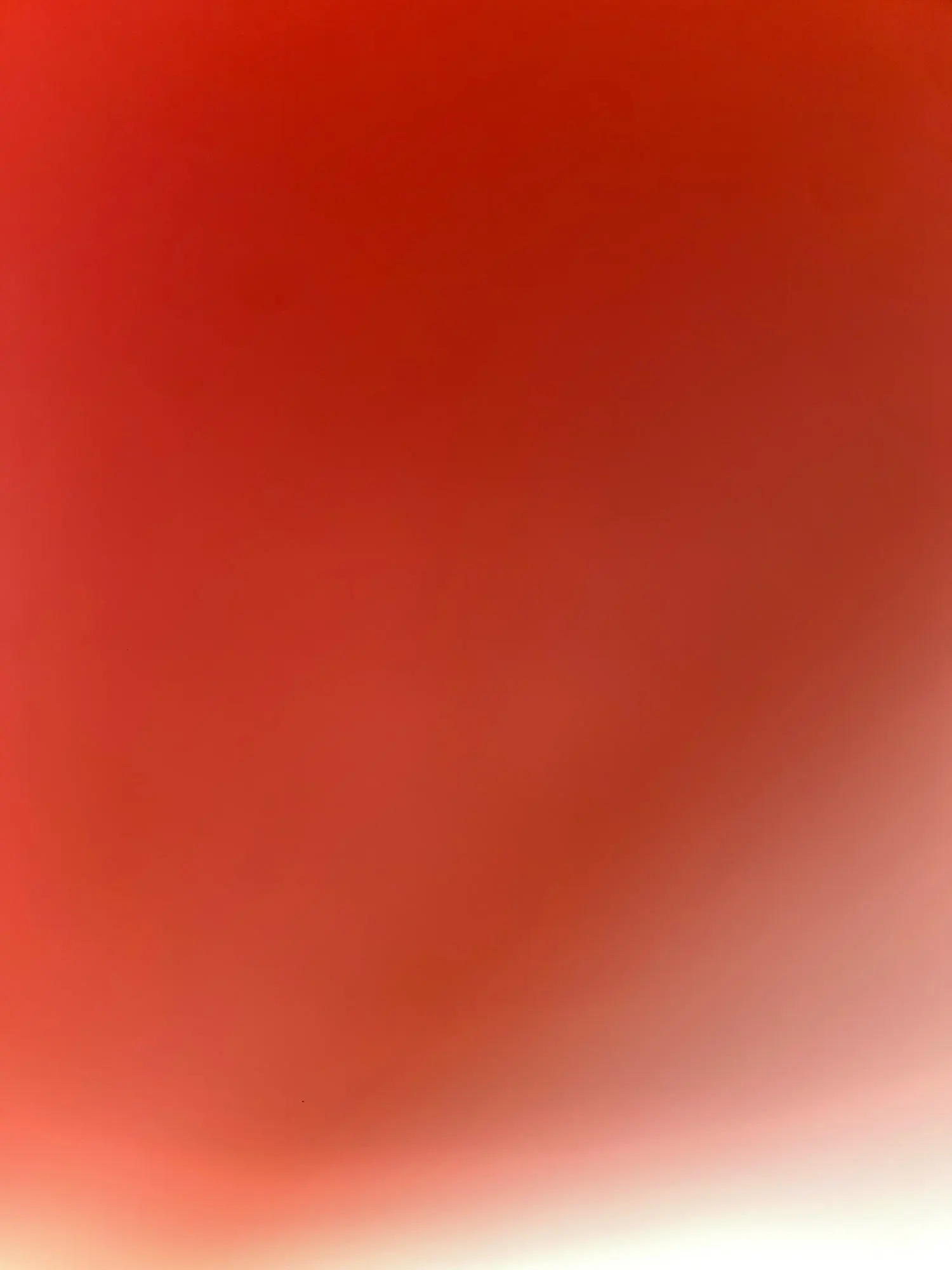리뷰 사진 1