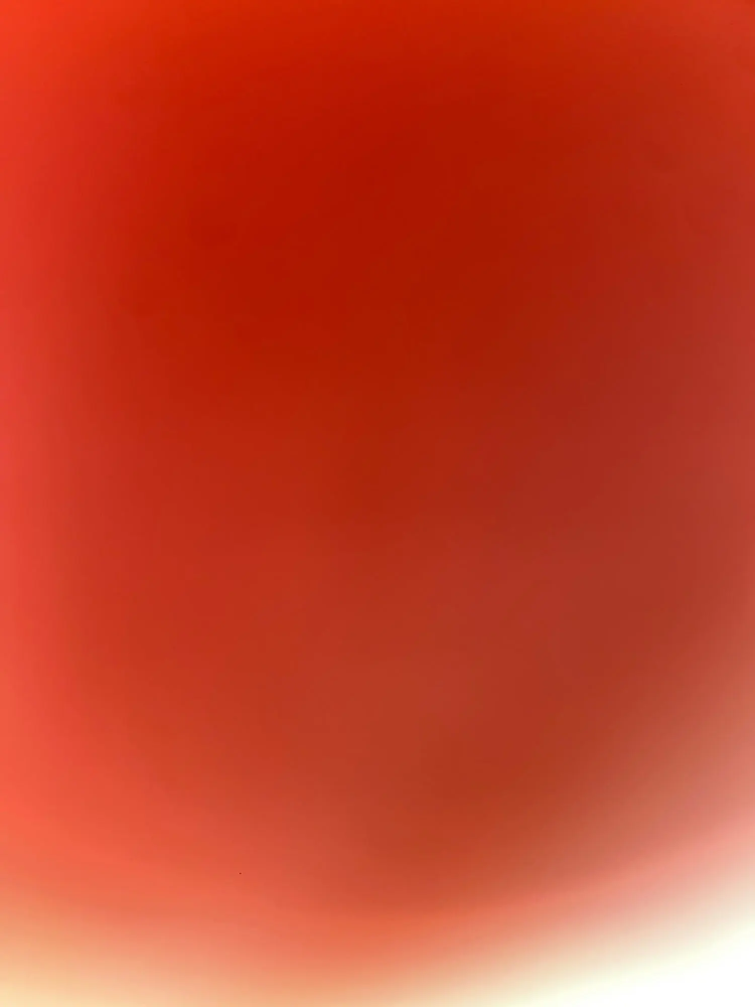 리뷰 사진 2