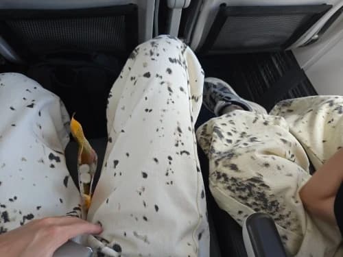 리뷰 사진 1